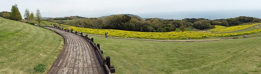 Awaji Hanasajiki spring flowers on the eastern hillside