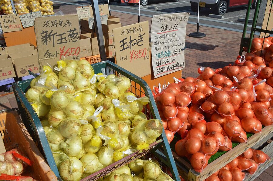 Famous Awaji onions on display at Higashiura Terminal Park