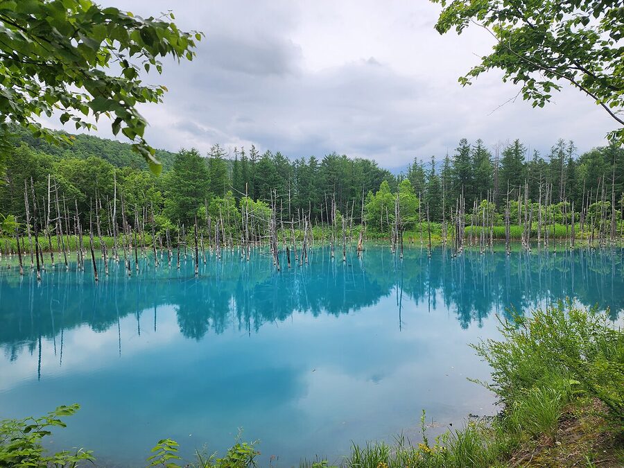 Aoi-ike Blue Pond near Shirogane Onsen, Biei