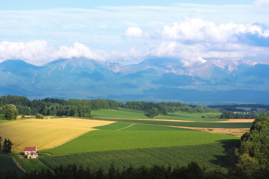 Rural Biei farmland on a clear day