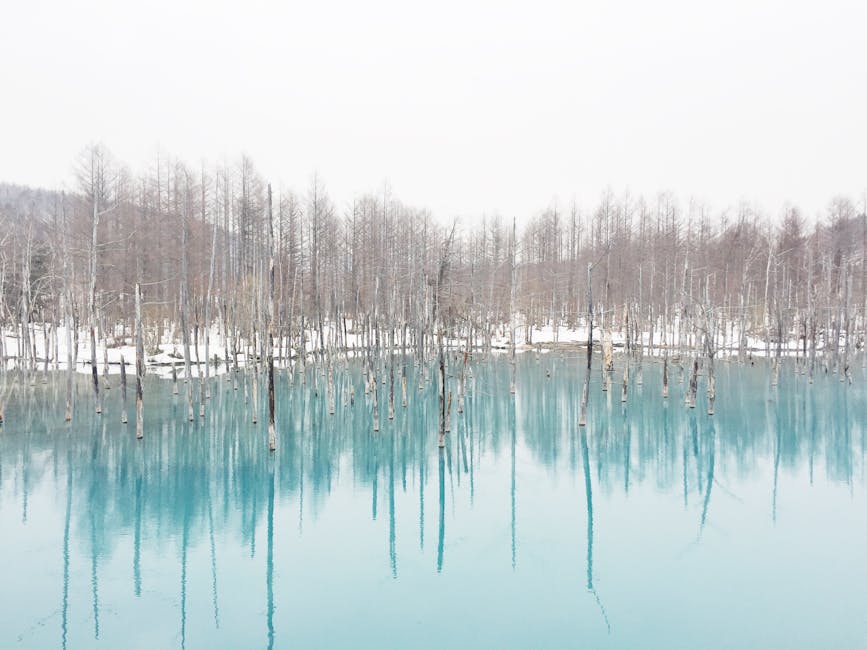 Blue Pond in winter with bare trees