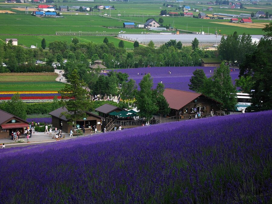 Nakafurano farmland