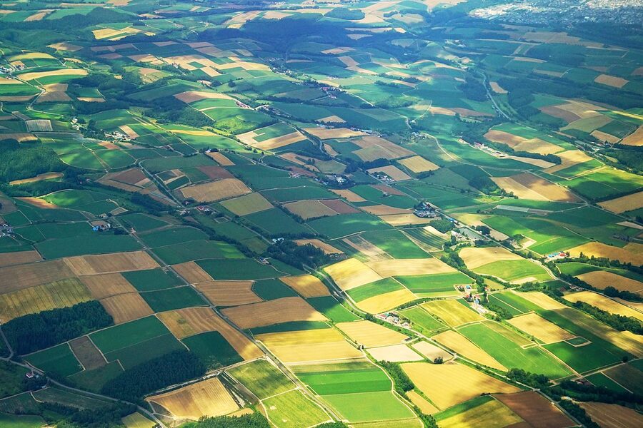 Biei Patchwork Road in summer