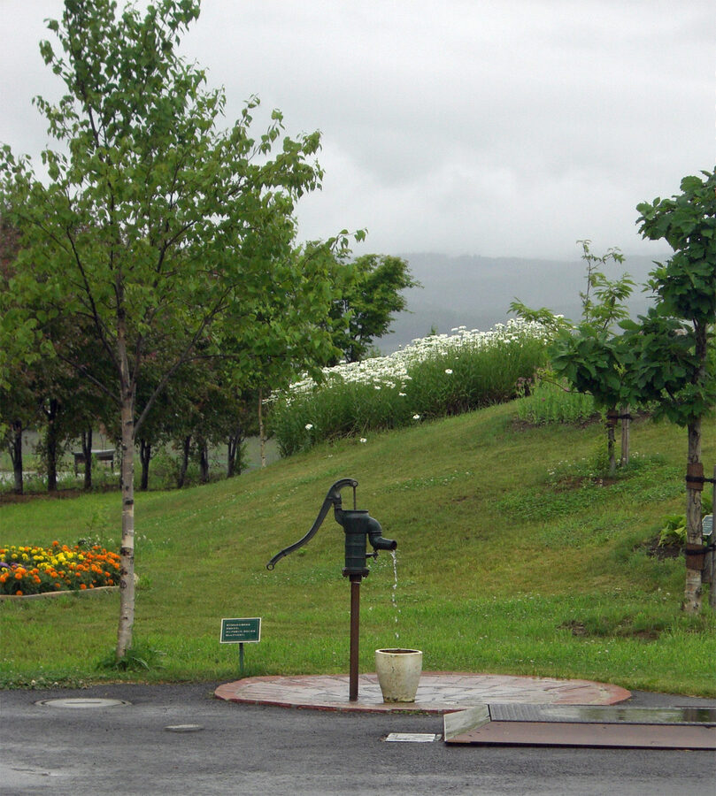 Farm Tomita Lavender East field, Nakafurano