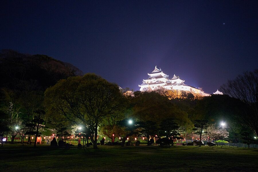 Wakayama Castle main keep with cherry blossoms