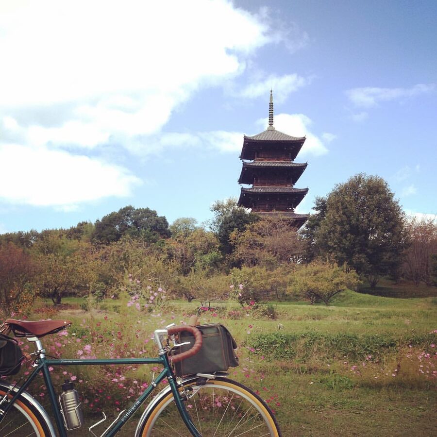 Bitchu Kokubunji pagoda in October light over harvest fields