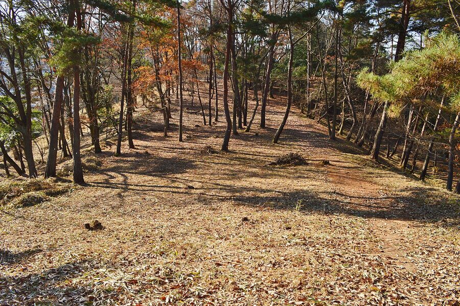 The front-square approach to Sakuyama Kofun in Soja