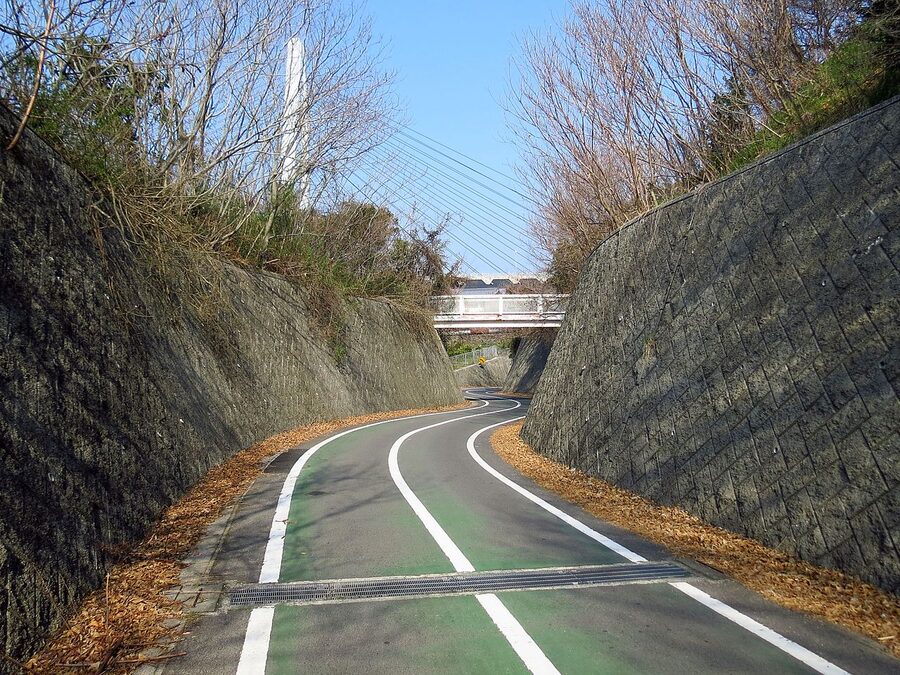 Cyclists riding along the painted blue line of the Shimanami Kaido bikeway