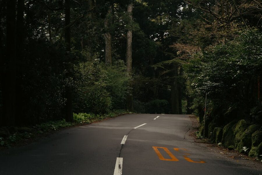 A quiet forest road in Hakone