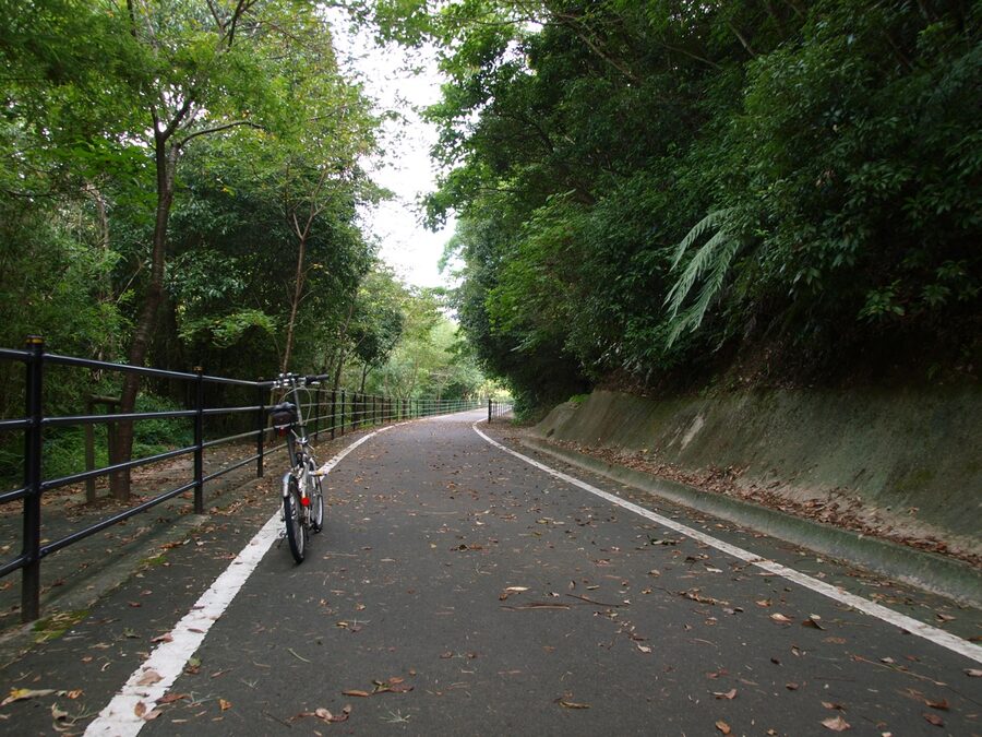 A long flat stretch of the Ring Ring Road on the former railway alignment