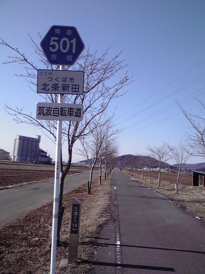 The Ring Ring Road through rice fields in Hojo-Shinden, Tsukuba