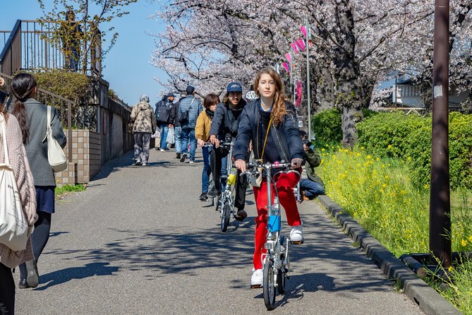 2.5 Hour-Guided Cycle Tour in the Central Tokyo - Riding along the Sumida River