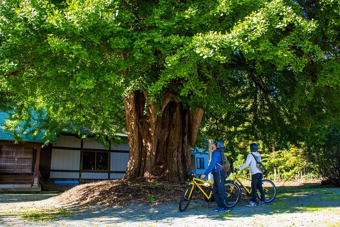 3 Hour Cycling Tour in Kakunodate - Who will get the most from this ride?