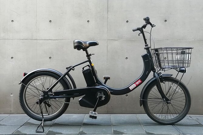 3h Tokyo E-Bike Tour: Hidden Gems, and Local Life with guide - Morning route: Tokyo Station and the Imperial Palace