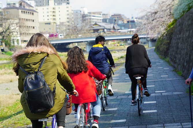 4.5-Hour Kyoto Bike Tour with Lunch and UNESCO Zen Temples - Heian Shrine and the route between the stops
