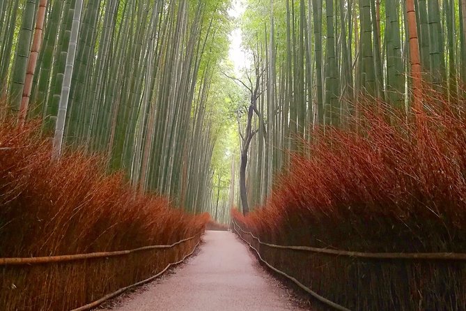 5 Top Highlights of Kyoto Full Day Bike Tour (E-bike option) - Following the red torii at Fushimi Inari