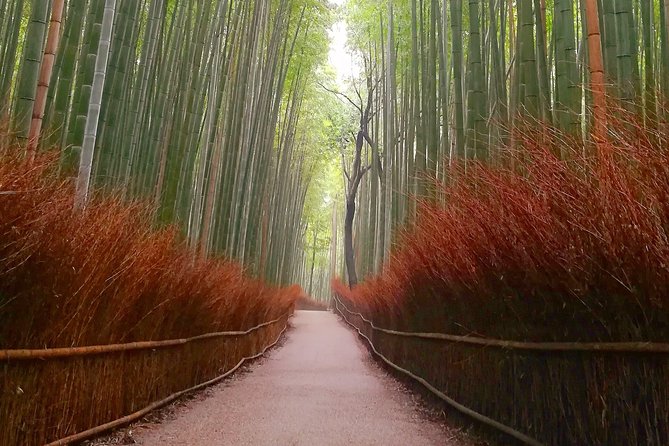 Afternoon Kyoto Bike Tour: Bamboo Forest, Monkeys & Hidden Spots - What the guides add to the afternoon