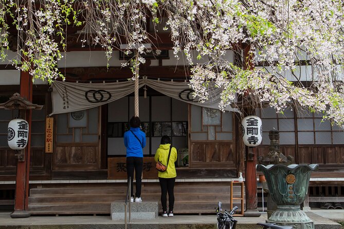 Akagi Great countryside e-bike tour - Key points to know before booking