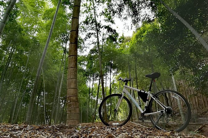 Arashiyama Bamboo Forest & Hidden Gems Bike Tour (Early Bird) - What is included, and what is not