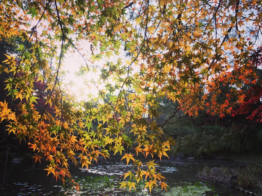 Best of Kyoto: Ginkakuji & Path of Philosophy E-Bike Tour - Key points at a glance
