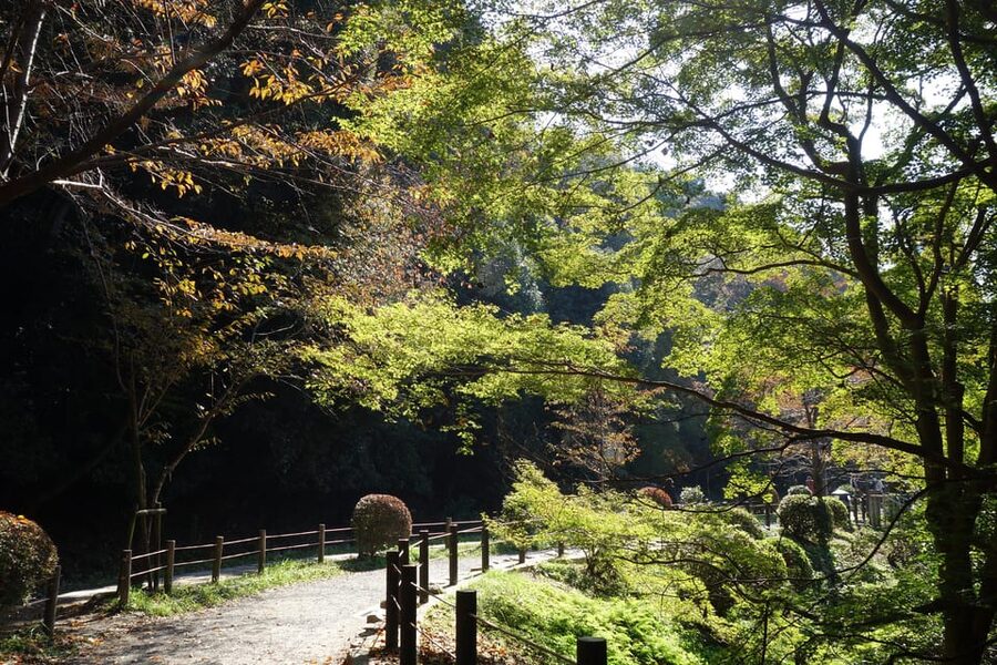 Best of Kyoto: Ginkakuji & Path of Philosophy E-Bike Tour - Starting at Kyoto Bike Rentals