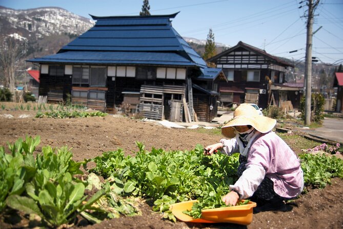 Custom Bike and Walk Countryside Adventure in Rural Japan - Should You Book It?
