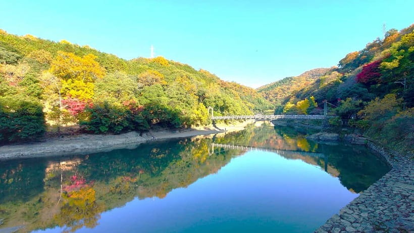 Cycling Tour at Uji's Matcha Green Tea Fields and Heritage - Why a bicycle makes sense in Uji