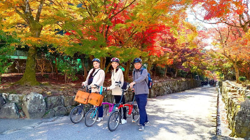 Cycling Tour at Uji's Matcha Green Tea Fields and Heritage - Chazuna: begin with Uji’s tea culture