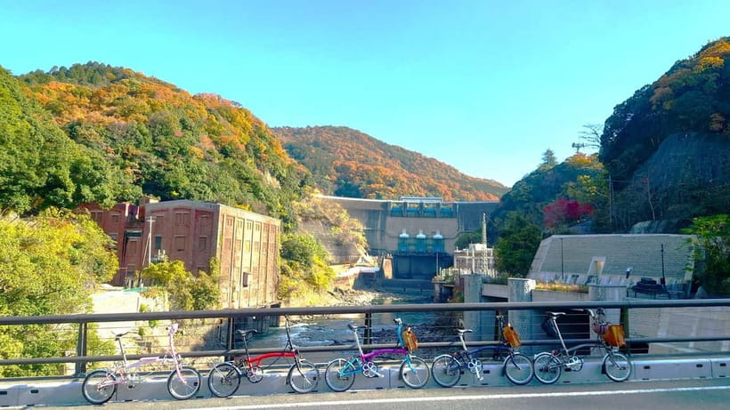 Cycling Tour at Uji's Matcha Green Tea Fields and Heritage - Finish with matcha and local snacks