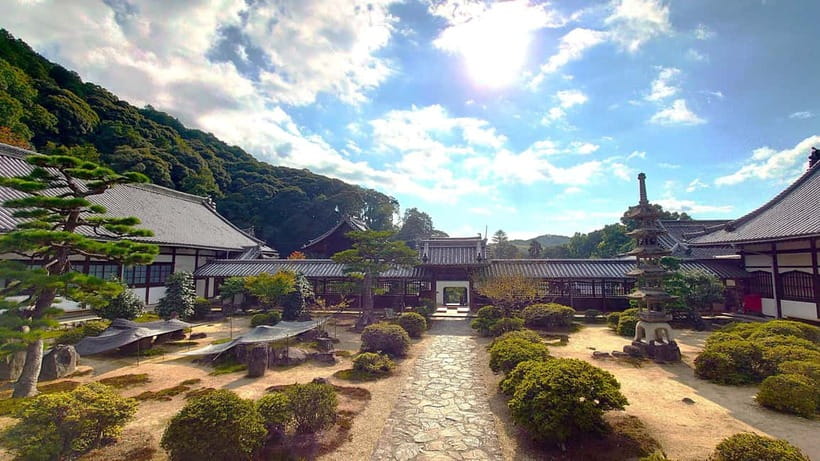 Cycling Tour at Uji's Matcha Green Tea Fields and Heritage - What the $160 price includes