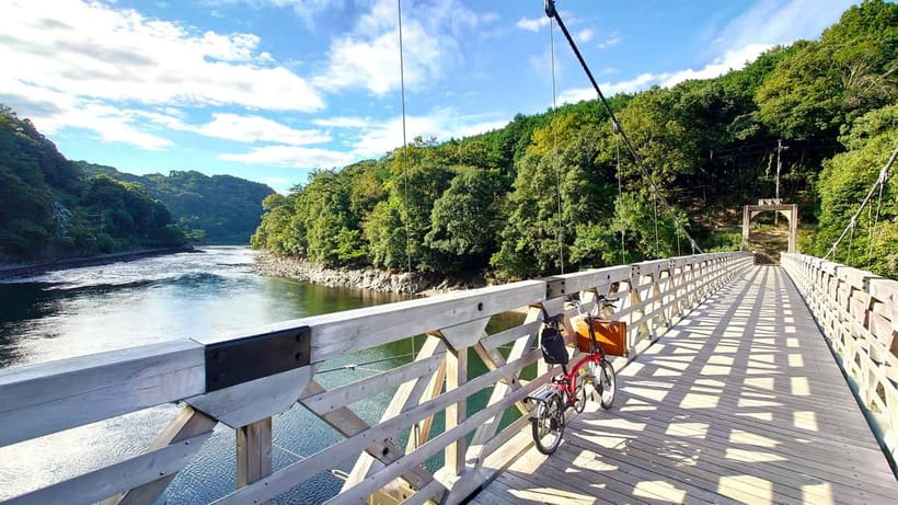 Cycling Tour at Uji's Matcha Green Tea Fields and Heritage - Kosho-ji Temple and the quieter side of town