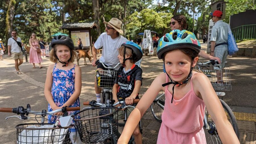 E-Bike Nara Highlights - Todaiji, Knives, Deer, Shrine - Nandaimon Gate and the first deer encounters