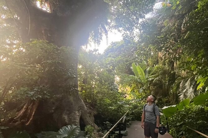 E-Bike Nature Tour in Shuri - Why this Shuri ride is worth your morning