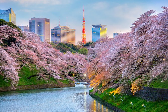 [electric bicycle tour]: 6-hour travel course by electric bicycle Asakusa, Ueno Park, Edo-Tokyo Museum, and Sky Tree. (There is a support car.) - What the $283.17 price really buys you