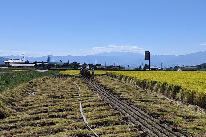 eTour de Matsumoto - Electric Bike Tour - How demanding is the cycling?