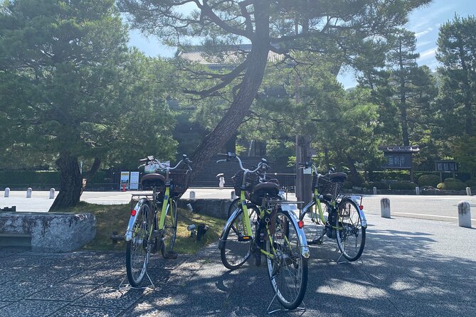 Explore Hidden Kyoto by E-Bike: Private, Scenic & Fun - Kamogawa River stepping stones: a simple local pleasure
