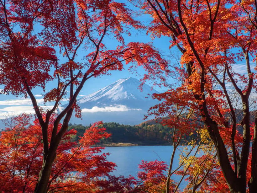 From Tokyo: Private Motorcycle Tour - Fuji, Hakone, Onsen - Guides, passengers, and riding ability