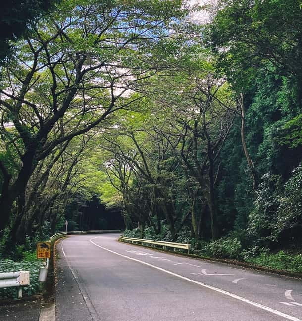 From Tokyo: Private Motorcycle Tour - Fuji, Hakone, Onsen - Lake Ashi and Hakone Shrine