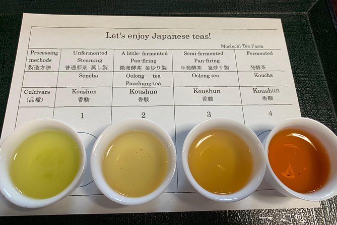 Guided Bike Tour to a Green Tea Farm in Shizuoka (not e-bikes) - Key points at a glance