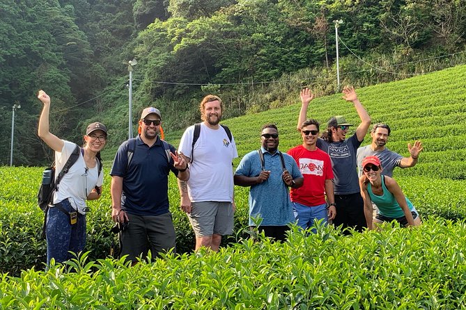 Guided Bike Tour to a Green Tea Farm in Shizuoka (not e-bikes) - Who will enjoy this ride most?