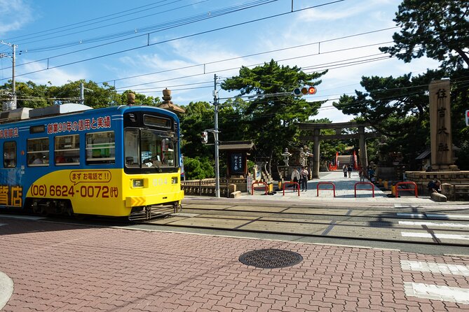 Half day Osaka Bay Area Cycling with E-Assist Bicycle Tour - Key points to know before you book