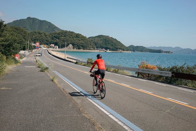 Half-Day Shimanami Kaido Private E-Bike Cycling Tour - 3 Routes - Key points to know before you book