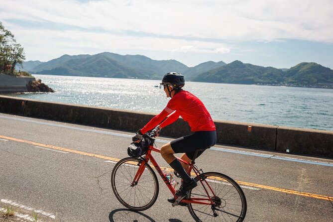 Half-Day Shimanami Kaido Private E-Bike Cycling Tour - 3 Routes - Alex brings a local connection to Mukaishima