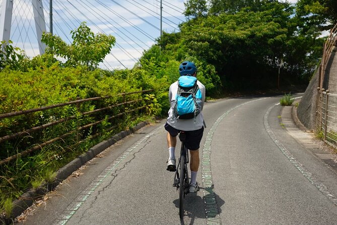 Half-Day Shimanami Kaido Private E-Bike Cycling Tour - 3 Routes - Bridges, ferries, and changing views