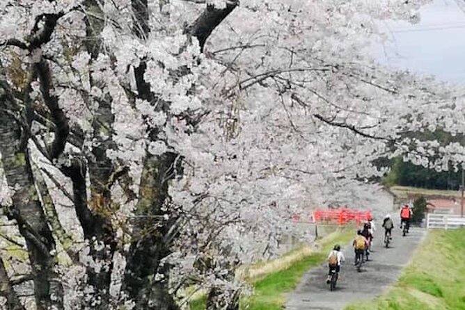 Hiroshima Country Cycling: Explore Rural Life 1 HR from City - Old Oasa and its quiet main street