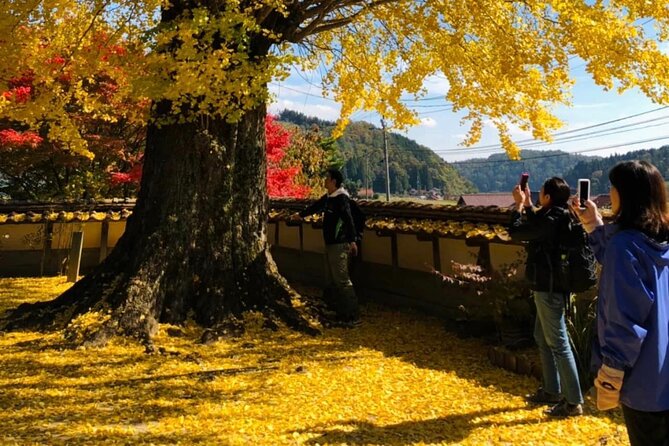 Hiroshima Country Cycling: Explore Rural Life 1 HR from City - What the small group changes