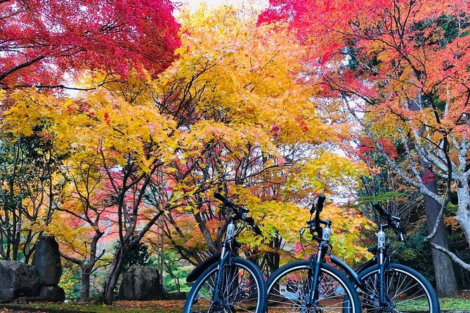 Hiroshima Country Cycling: Explore Rural Life 1 HR from City - E-bikes make the countryside accessible