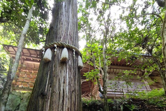 Hiroshima Scenic Cycling Guided Tour - Peace Memorial Park: a thoughtful 45-minute beginning
