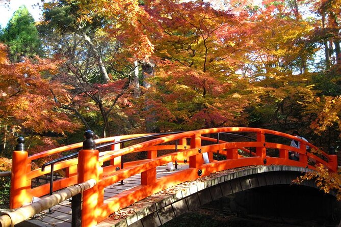 Historical Kyoto E-Bike Tour - Lunch, local food, and the cash you need