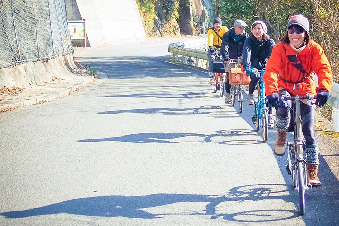 Iya Valley BROMPTON Slow Cycling Tour - Three hours through Iyakei Valley